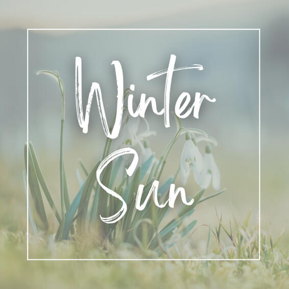 Winter Sun